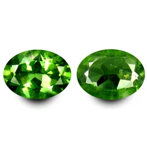1.63 ct (2pcs) Wonderful MATCHING PAIR Oval Shape (7 x 5 mm) Apatite Gemstone - Picture 1 of 1