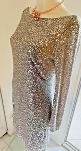 Kleid Lauren Ralph Lauren Abend Silber Pailletten Verziert Größe 6 Neu ohne Etikett - Bild 1 von 8