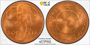 SOMALIA 1950 Circulation Set 5 Coins [Bronze/Silver] PCGS - Picture 1 of 5
