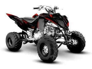 Kit graphisme Yamaha Raptor 700 700R 2013 2014 2017 à 2025 décalcomanies... - Imagen 1 de 6