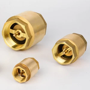 Brass Spring Check Valves : Non-Return Valves : Sizes 1/2" To 2" BSP - Picture 1 of 2