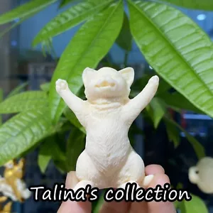 Dado Tagua originale naturale 2'' intagliato a mano bellissimo gatto Reiki regalo guarigione 1 pz - Foto 1 di 8