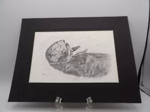 Sea Otter Eating Oyster Print Andrew Kozak Black White Matted 12" x 9" - Picture 1 of 4
