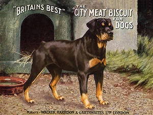 ROTTWEILER DOG FOOD ADVERT ON LOVELY GREETINGS NOTE CARD - Picture 1 of 1