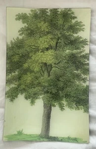 JOHN DERIAN DECOUPAGE BAUM MIT GRÜNEN BLÄTTERN TABLETT 9” X 14” UNSIGNIERT - Bild 1 von 2