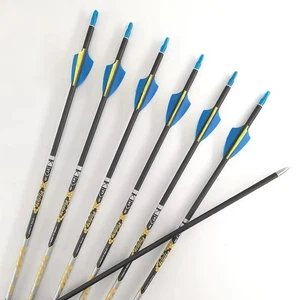 350-900 Spine Archery Carbon Arrows Shaft Pin nock Points for Bow Hunting 12pcs - Picture 1 of 6