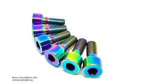 Oil Slick Rainbow Titanium Cap Head Bolts M8x20 Pack of 6 - Picture 1 of 5