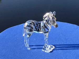 2021 Swarovski SCS AE Figur Zebra Baby (signiert) #5600649 Neu in OVP! - Bild 1 von 7