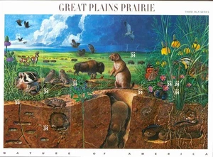 Estampilla de Estados Unidos - 2001 Great Plains Prairie - Hoja de 10 estampillas #3506 - Imagen 1 de 1