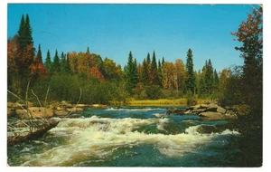 Ox Tongue River Algonquin Provincial Park Nipissing District Ontario Postcard - Picture 1 of 2
