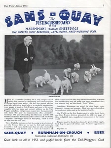 MAREMMA DOG 1953 DOG BREED ADVERT PAGE SANS-QUAY KENNELS MRS ALEXANDRE- COULDREY - Picture 1 of 1