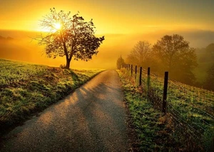 Ravensburger Puzzle Landschaft Morgensonne Erwachsenenpuzzle Farbenfroh 1000 - Bild 1 von 12