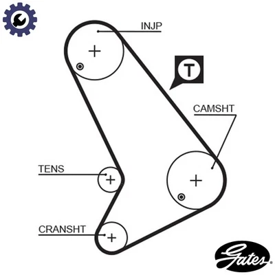 TIMING BELT 5572XS FOR METROCAB FORD TRANSIT/Platform/Chassis/TOURNEO/Bus/Van - Image 1 of 4