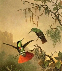 Oil Martin Johnson Heade - Two Hooded Visorbearer Hummingbirds happy birds art - Picture 1 of 1