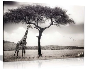 Safari Wildlife Giraffe & Playful Lion Framed Canvas Print Wall Art Home Decor - Picture 1 of 6