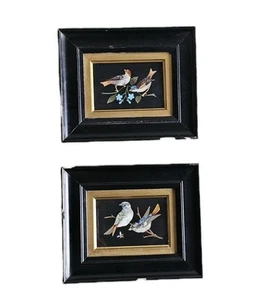 Ein Paar antike italienische Florence Pietra Dura gerahmte Vogelplatten um 1800 - Bild 1 von 17