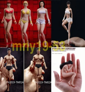 Figura cuerpo femenino/masculino TBLeague 1/12 Phicen con cabeza sin pintar modelo de palma de muñeca - Imagen 1 de 7