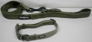 Blueberry Pet Dog Collar & Leash Olive Green - Picture 1 of 7