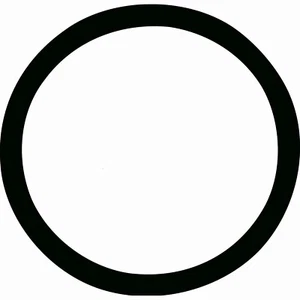 STANT/MotoRad 25269 Engine Coolant Thermostat Seal (25269) - Picture 1 of 1