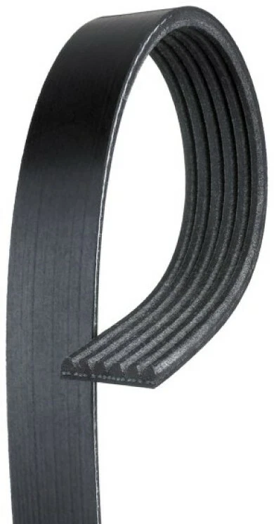 Cinturón Serpentine 6K663 AC Delco nuevo para Chevy Jeep Grand Cherokee Impala Durango Foto 1 de 1