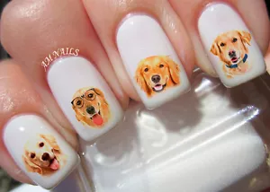 Golden Retriever Nail Art Stickers Transfers Decals Set of 60 - A1292 - Picture 1 of 2