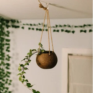 Coconut Planter with Natural Jute Twine | Hanging Planter | Eco Friendly - Picture 1 of 5