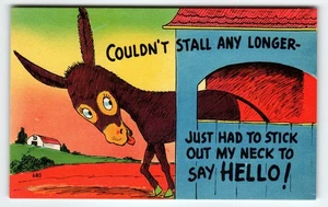 Vintage Leinen Esel Sprüche Postkarte geteilt hinten 50er Jahre - Bild 1 von 2