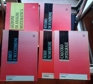 LEZIONI DI ANALISI MATEMATICA E4 LIBRI DI ESERCIZI- MADERNA SOARDI -CITTA STUDI - Foto 1 di 8