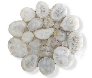 Round Epoxy Coffee Table Top White Agate Living Room Table for Hotel Decor - Picture 1 of 3