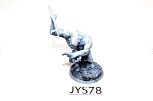 Warhammer Lord of the Rings Cave Troll JYS78 - Picture 1 of 1