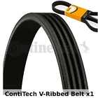 Contitech V Ribbed Belt   4Pk810  4 Ribs   Fan Belt Alternator Drive Belt
