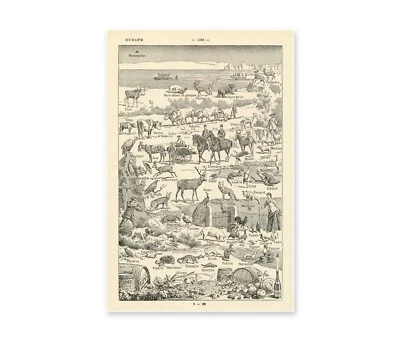 Póster estilo vintage de la cultura europea - 1931 diccionario francés gráfico imagen arte Foto 1 de 4