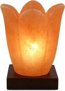 Himalayan+Salt+Lamp+Carved+Shape+Healing+Natural+Pink+Crystal+Rock+100%+Natural - Picture 1 of 1