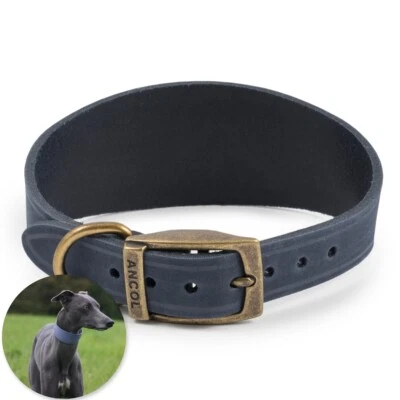 BLUE LEATHER WHIPPET COLLAR Sighthound Lurcher Greyhound Wide Neck Band UK MADE - Image 1 of 4