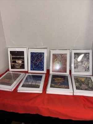 Tarjetas y sobres interiores en blanco diseñados por artista por Pamela Carlton-8 paquetes-6 por Foto 1 de 4