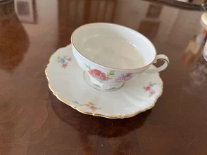 Seltmann Weiden Bavaria West Germany Theresia China Tea Cup Saucer Set - Picture 1 of 6