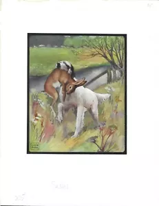 1910 John Edwin Noble Arte Impresión Libro Amante del Perro ENGLISH SETTER LIEBRE Paisaje - Imagen 1 de 1