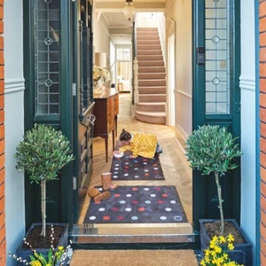 Hug Rug 85x65 cm (SPOT 12) Dirt Trapper Door / Floor Mat Machine Washable - Picture 1 of 5