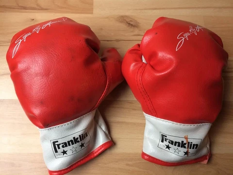 FRANKLIN Sugar Ray Leonard Kids BOXING GLOVES Red 10" Cover