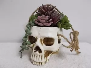 Flora Bunda Halloween Skull Faux Succulents Hanging Cement Concrete Planter Vase - Picture 1 of 6