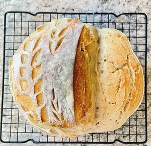 Alaskan Sourdough Starter | Live Wild Yeast Culture from Alaska | Heirloom - Picture 1 of 10