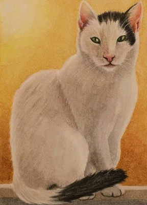 Toupee, Cat Sittng In The Sun, ACEO Original, 3.5 x 2.5 inch, Watercolor,Pencil - Image 1 of 2
