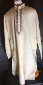 Kurti Kurta Tunic Size 42 (L-XL)gold Toned Buttons W/Fall Browns Embroided Ivory - Picture 1 of 12