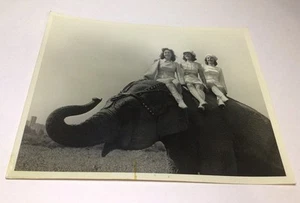 Fotografía de tres mujeres sentadas en un elefante de circo blanco negro 8 x 10 de colección - Imagen 1 de 23