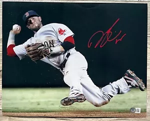 PEEWEE Dustin Pedroia signiert BOSTON RED SOX 11x14 Foto Beckett BAS - Bild 1 von 3