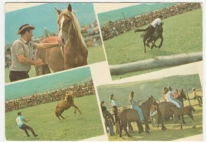 MONTENERO VAL COCCHIARA - ISERNIA - RODEO PENTRO -16315- - Picture 1 of 1