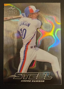 2023 Leaf Trinity Steel ~ Silver Lava #S-5 Andre Dawson! - Bild 1 von 2