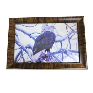 Vintage Tiger Wood Picture Frame W/ Glass 12.5" x 18" - Picture 1 of 10