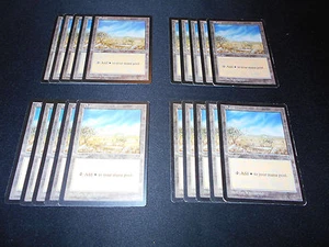 20 Basic Land - SAME ART - Llanuras - Mirage - Estado MP-NM - Magic Magic Magic Magic Magic Magic Magic Magic Magic Theg - Imagen 1 de 2