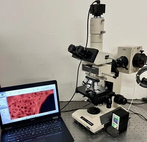 Olympus BH2 BHT Microscopio a fluorescenza LED a banda larga aggiornato - Foto 1 di 21